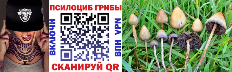 Псилоцибиновые грибы мухоморы  купить   Яхрома 